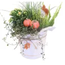 Autumn planting of heather